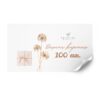 Elektroninis dovanų kuponas 100€ Kristina Beauty Elektroninis dovanų kuponas 100€ Kristina Beauty