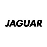 Jaguar-prekes-zenklas.jpg